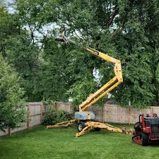 Lawn Maintenance Plans in Leon Valley, TX